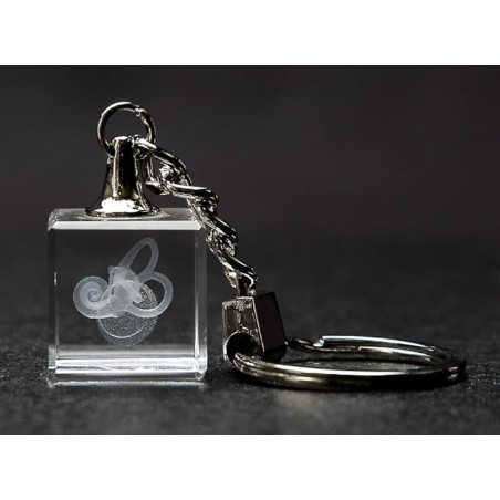 Ear Drum, Bones, Cochlea 3d Laser Crystal Key Chain, Anatomy, Doctors, Audiologist, Deaf