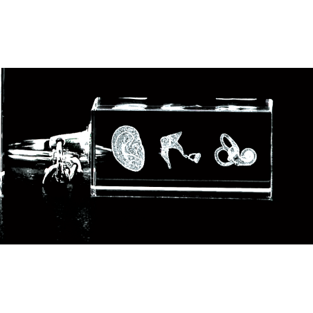Three Image Outer Ear, Ear Bones and Cochlea 3D Laser Key Chain Crystal