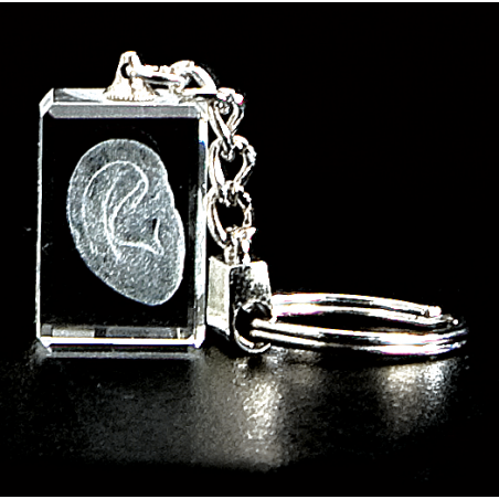 Outer Ear 3D Laser Key Chain Crystal, Anatomy