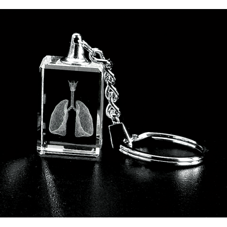 Lungs, Trachea and Larynx 3D Laser Key Chain Anatomy, Respiration