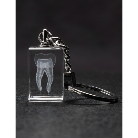 Tooth 3D Laser Key Chain Crystal, Anatomy, DDS, Dentist, Dentistry, Dental Medicine, Dental Nurse