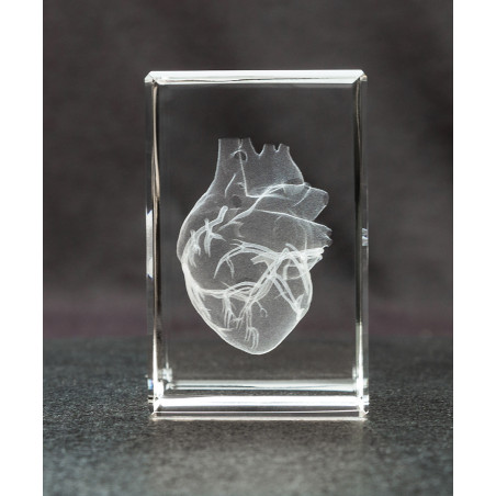 Heart 3D Laser Large Crystal, Anatomy, Circulation