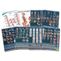 Anatomy Flip Charts