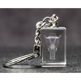 Larynx 3d Laser Crystal Key Chain